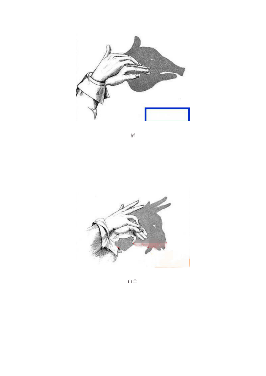 这些手影你都会吗