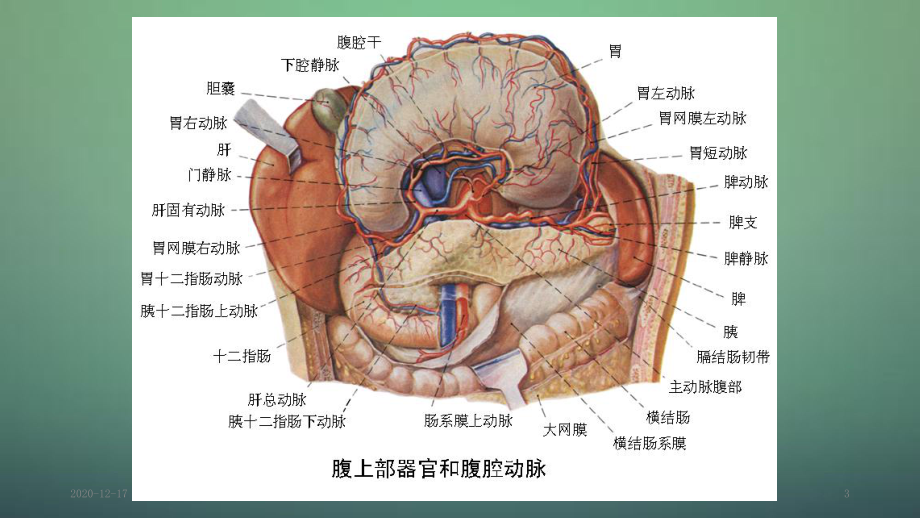 胃周淋巴结分组及分期