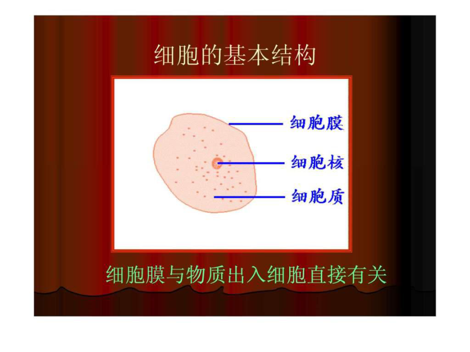 细胞膜的结构和功能1494963704