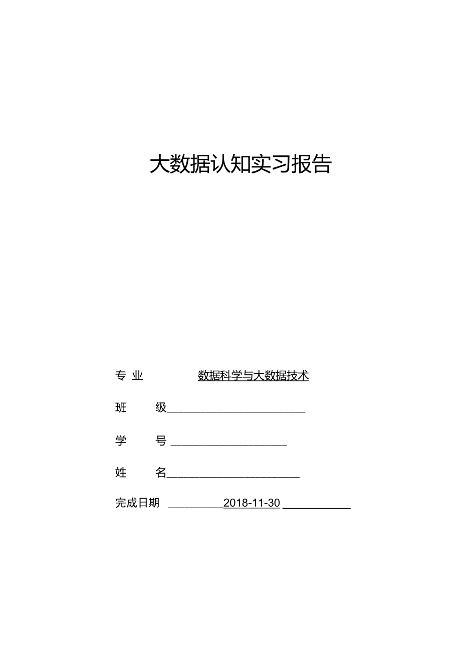 大数据专业实习报告