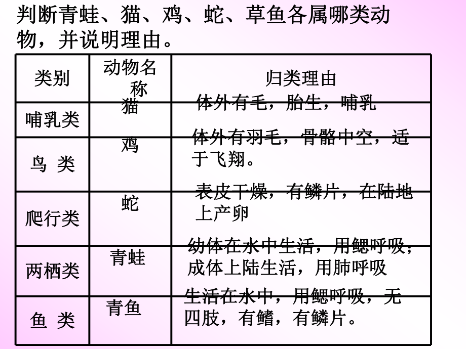 无脊椎动物分类最新