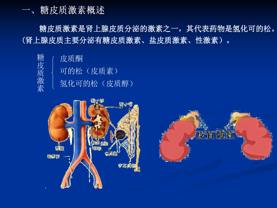 糖皮质激素的合成