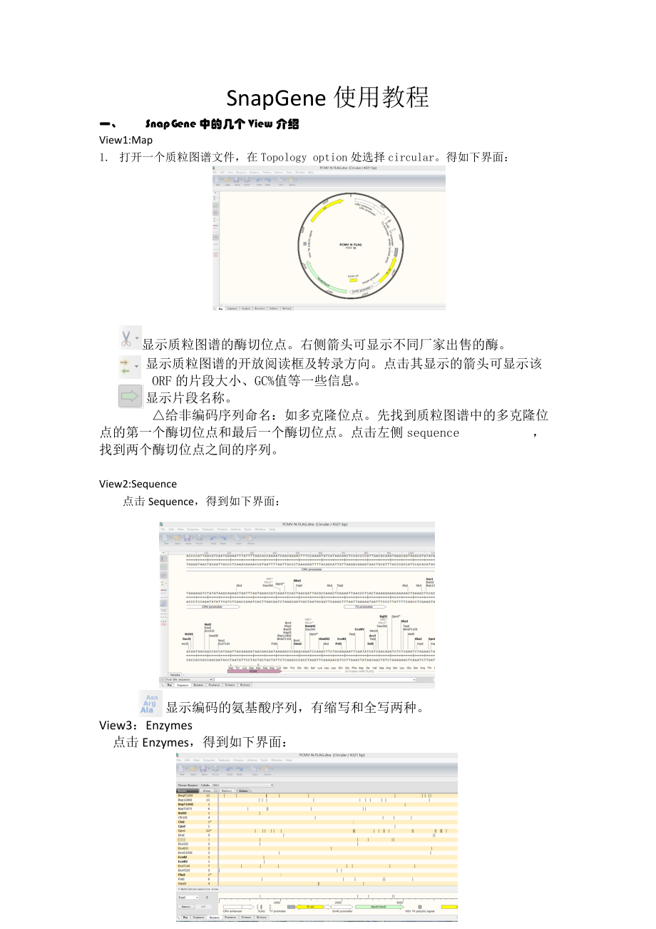 snapgene中文使用教程