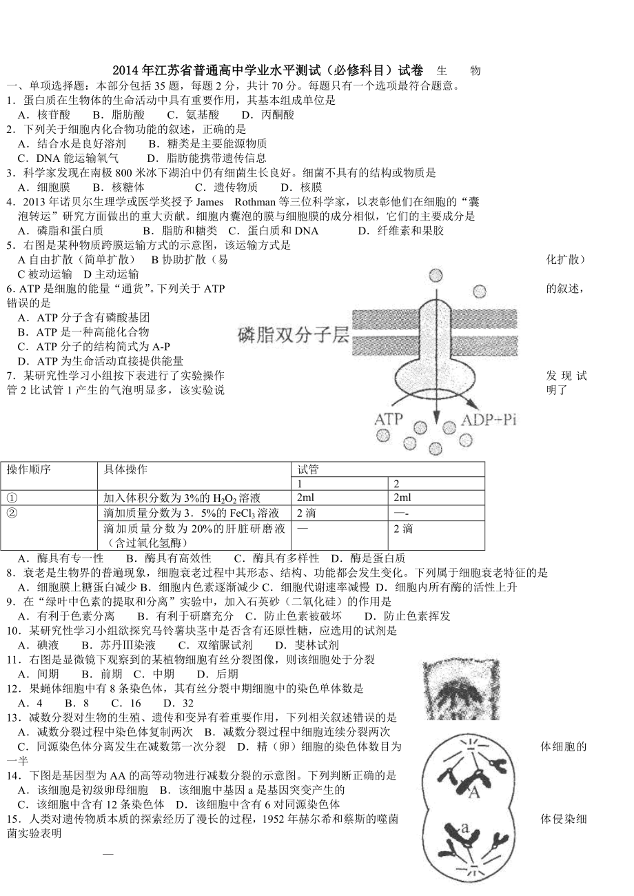 江苏小高考生物试卷及答案