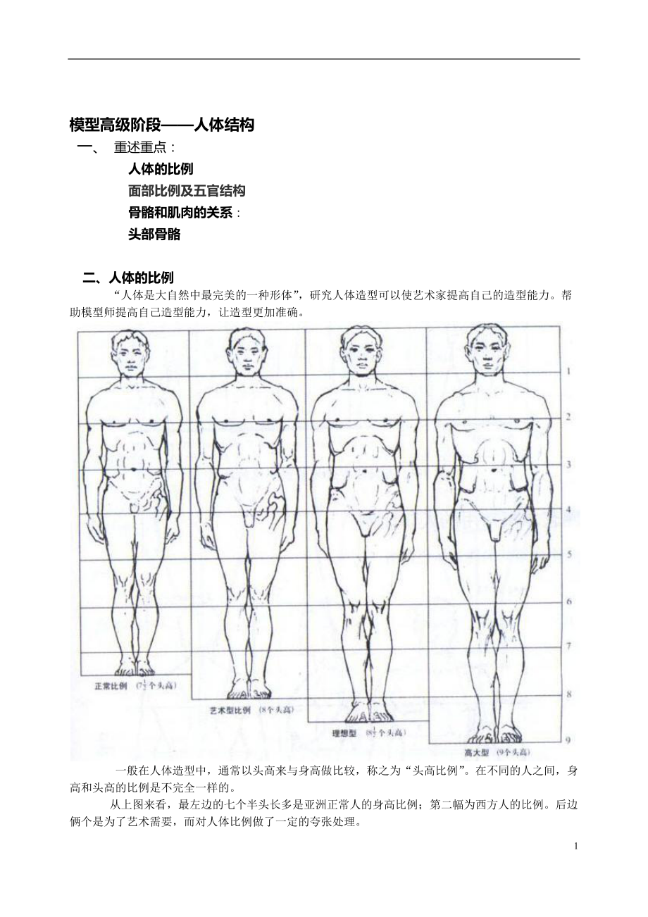 模型高級(jí)課件——人體結(jié)構(gòu)_第1頁(yè)