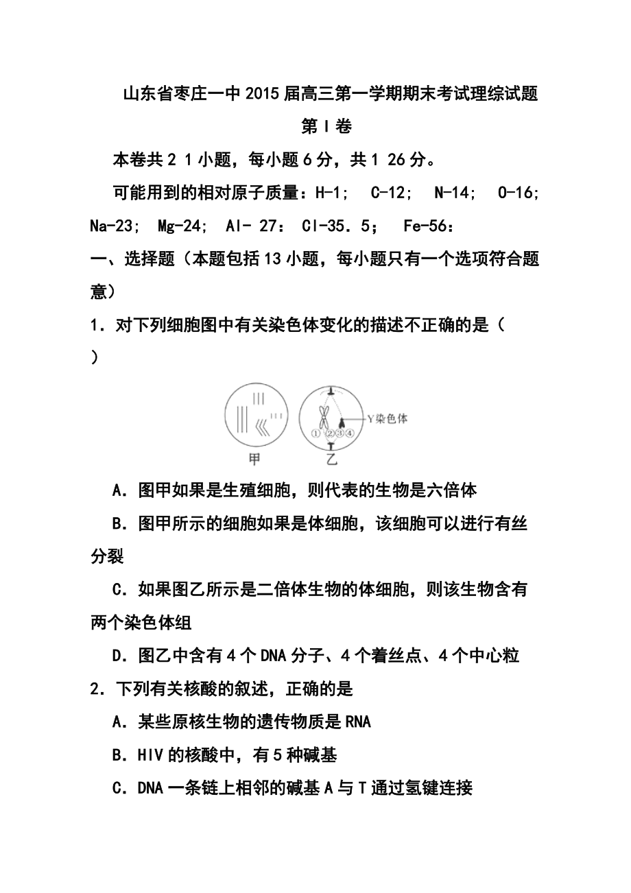 山东省枣庄一中高三第一学期期末考试理科综合试题及答案_第1页