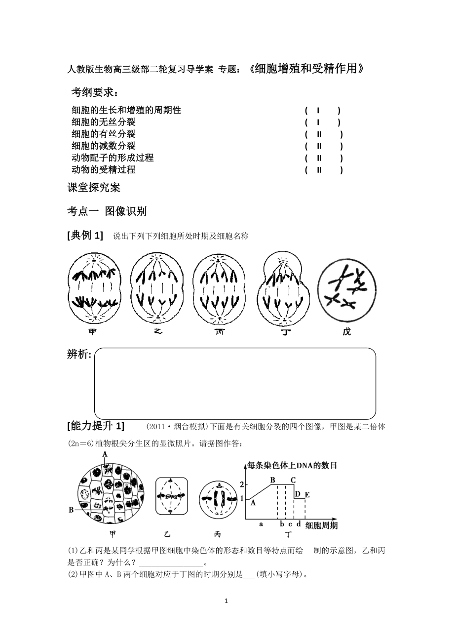 人教版生物高三級部二輪復(fù)習導學案 專題：《細胞增殖和受精作用》_第1頁