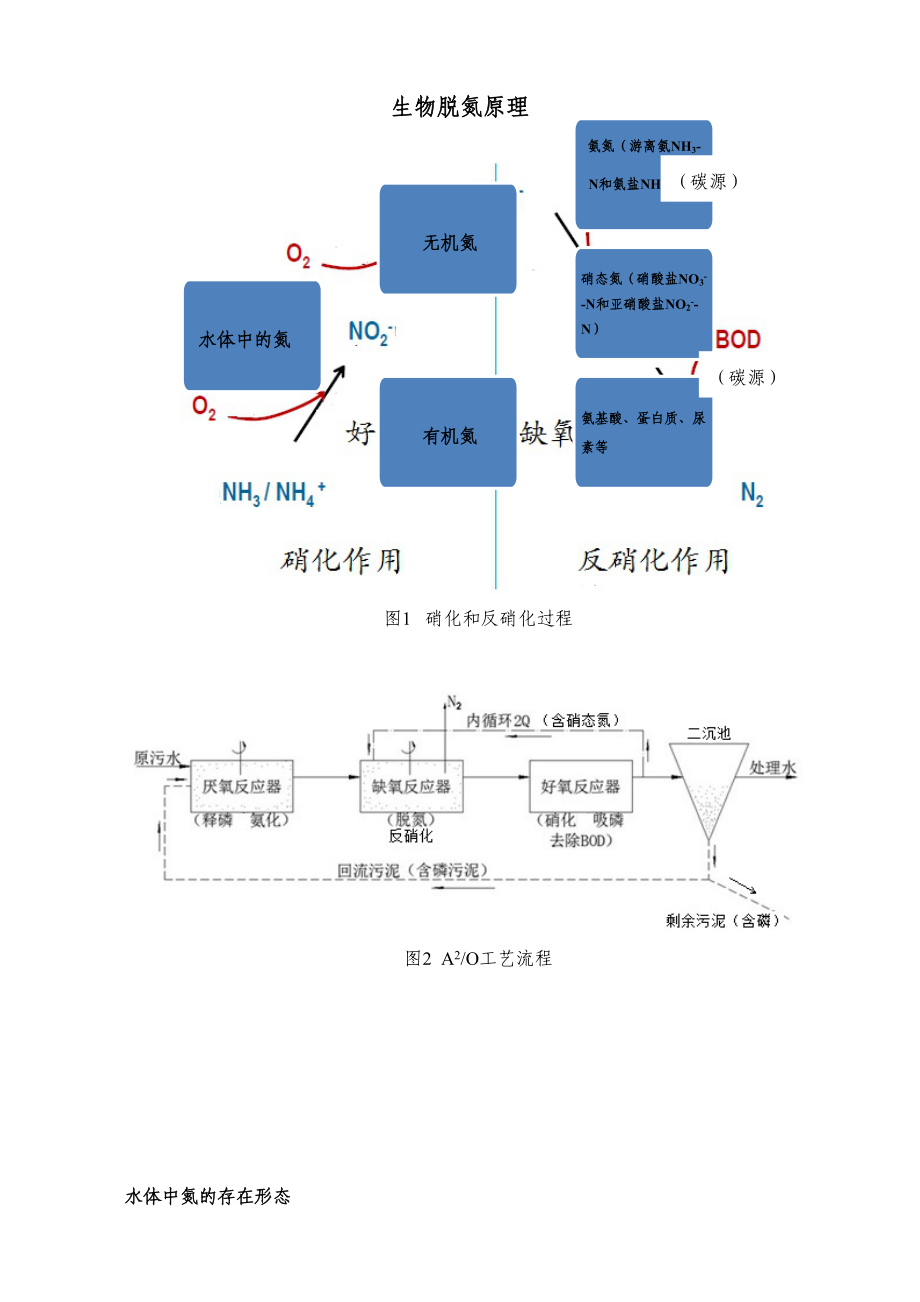 生物脱氮除磷原理_第1页