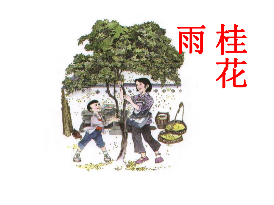 桂花雨上课用_第1页