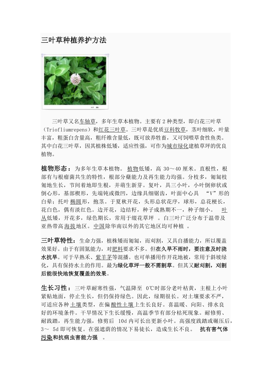 三叶草种植养护方法_第1页