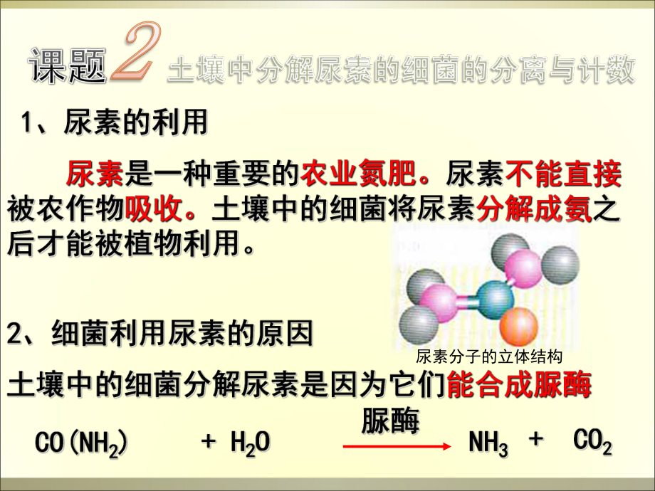 2.2土壤中分解尿素的细菌的分离与计数课件冯惠坚_第1页