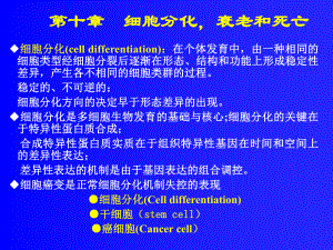 细胞分化与癌细胞10