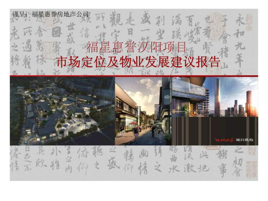 福星惠誉汉阳项目市场定位及物业发展建议报告_第1页