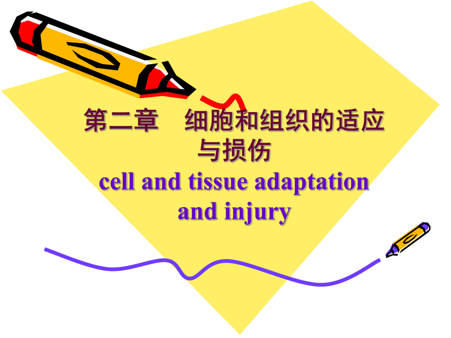 病理學(xué)課件：第二章細胞和組織的適應(yīng)與損傷_第1頁