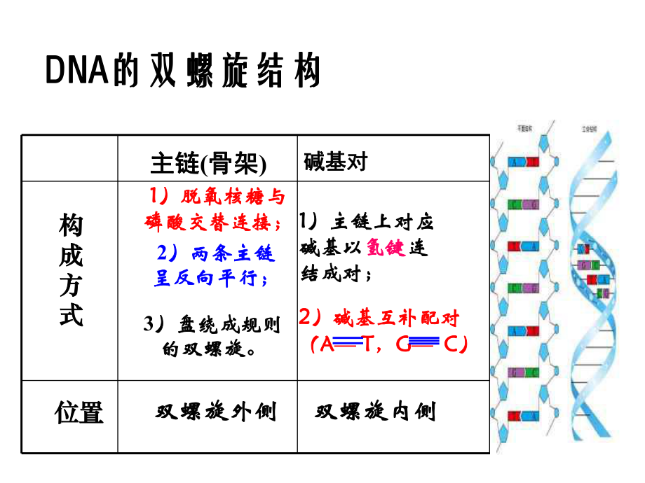 高一生物必修233dna分子的複製