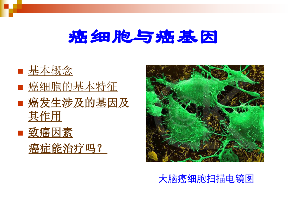 第二节癌细胞Cancercell_第1页