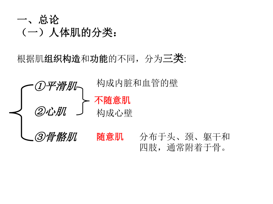 6肌学总论躯干肌new