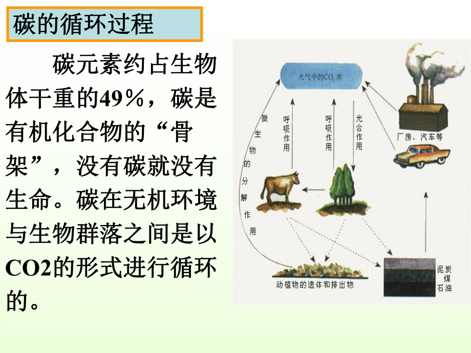 生態系統的物質循環