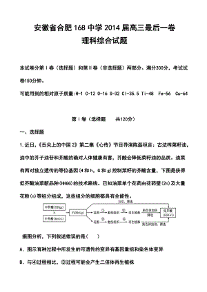 安徽省合肥168中學(xué)高三最后一卷理科綜合試題及答案