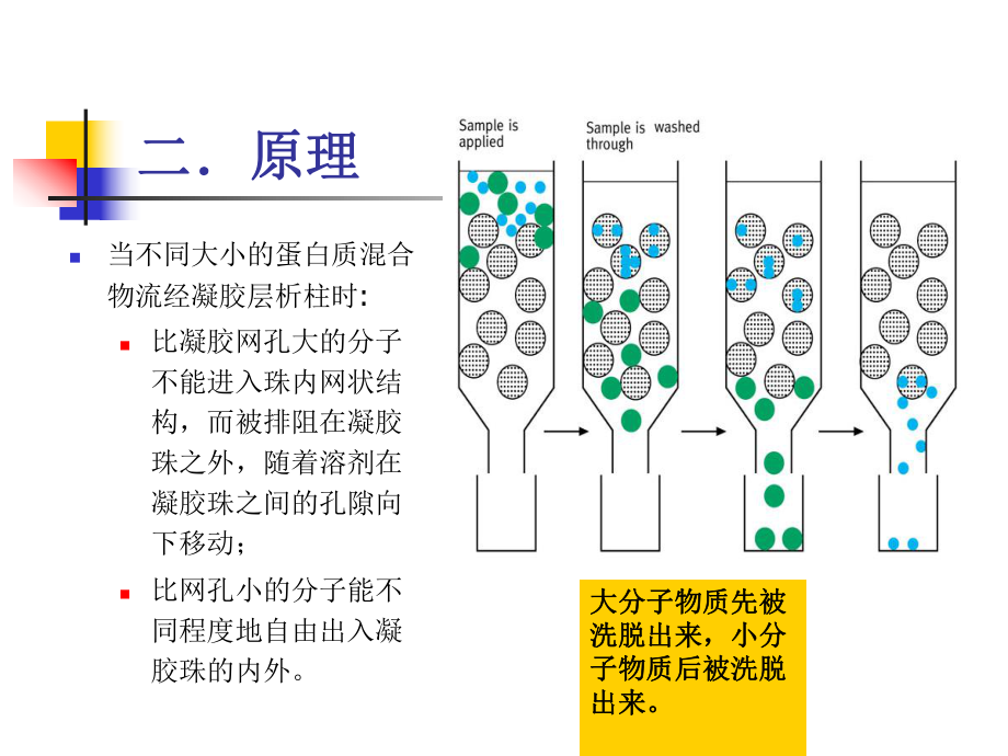 凝胶作用实验图片图片