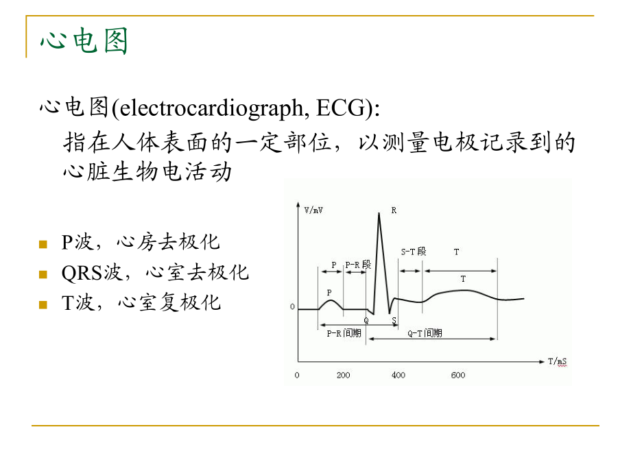 家兔正常心电图图片