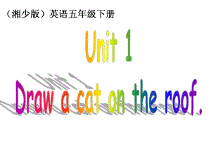 湘少版五下Unit1Drawacatontheroof課件