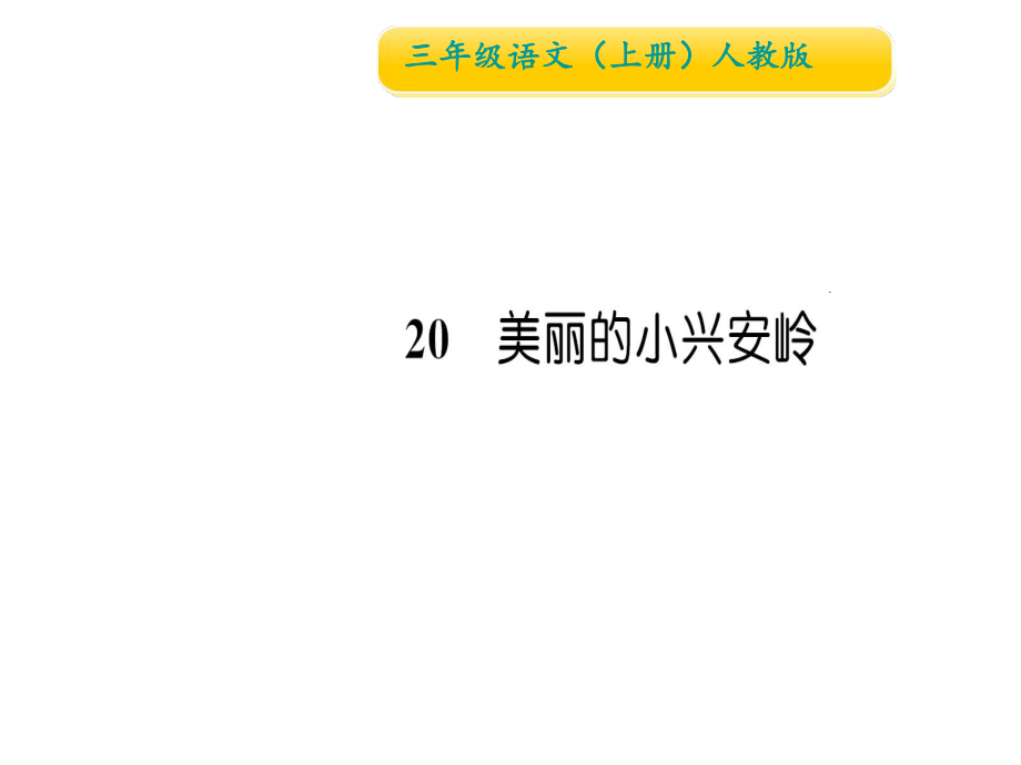 三年级上册语文习题课件-20 美丽的小兴安岭∣人教_第1页