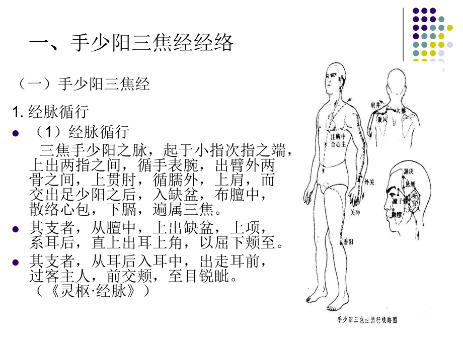 经络学手少阳三焦经