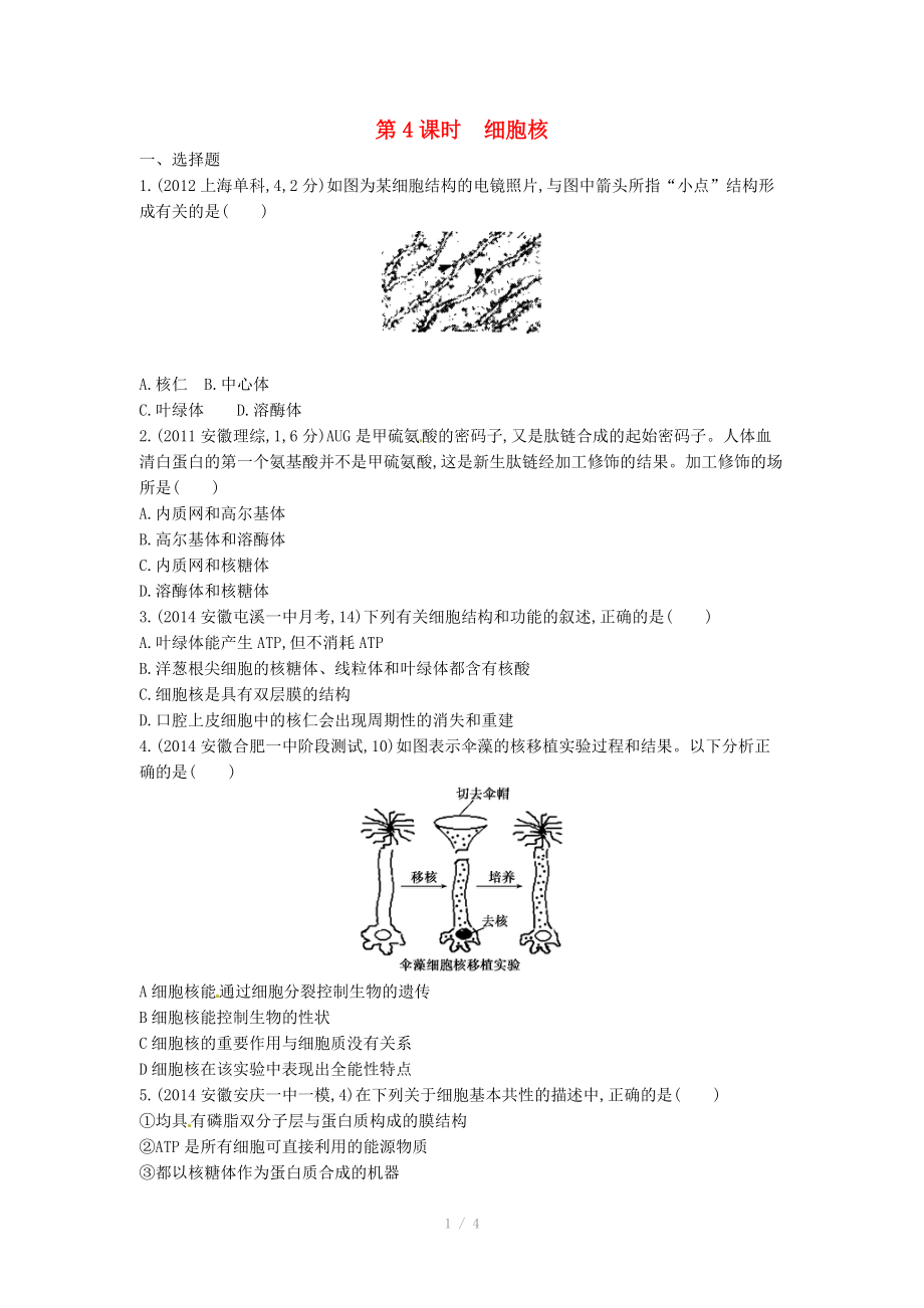 2015版高考生物總復習 第二單元 第4課時 細胞核練習_第1頁