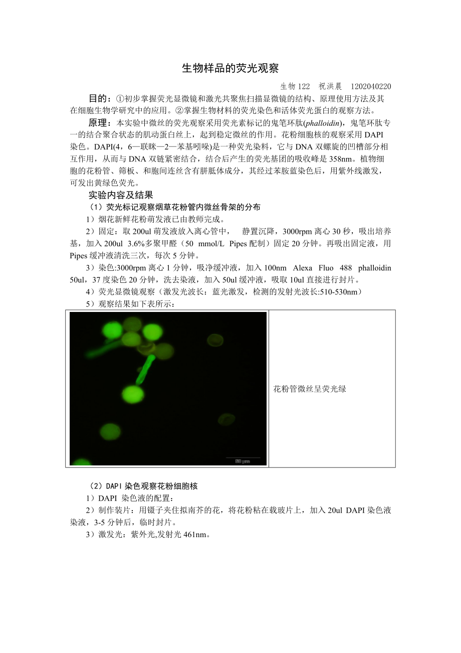 細(xì)胞生物學(xué)實(shí)驗(yàn)熒光顯微鏡生物樣品的熒光觀察_第1頁