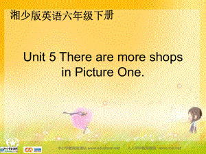 湘少版六下Unit5TherearemoreshopsinPictureOne課件