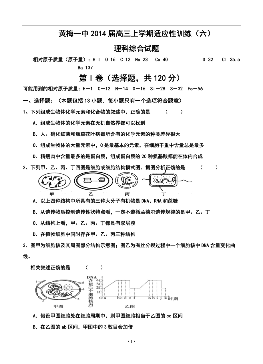 湖北省黄梅一中高三上学期适应性训练六理科综合试题及答案_第1页