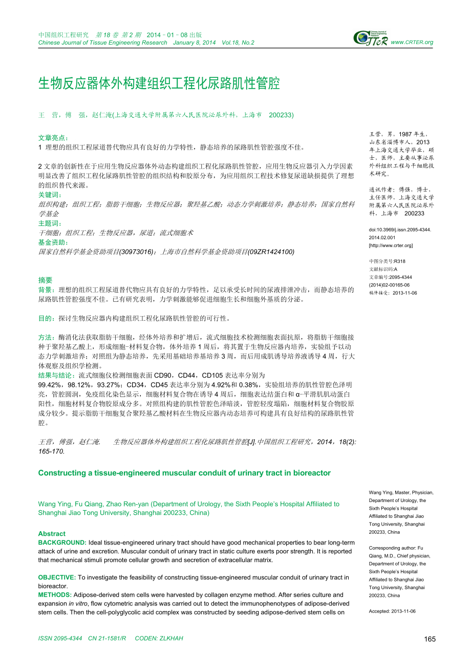 整理生物反应器体外构建组织工程化尿路肌性管腔_第1页