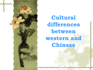 中西方文化差异英文版