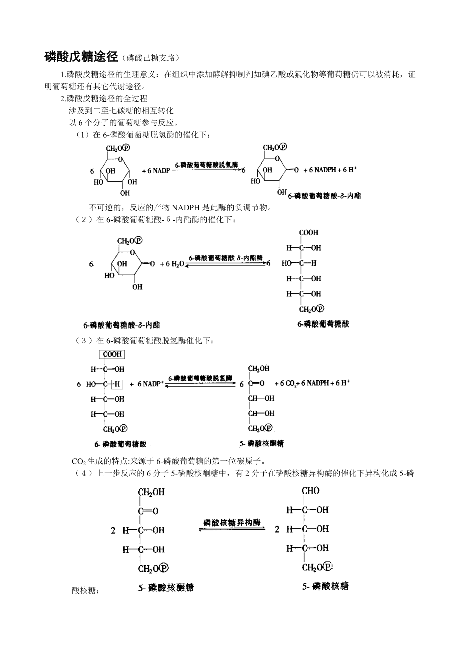 磷酸戊糖旁路图片