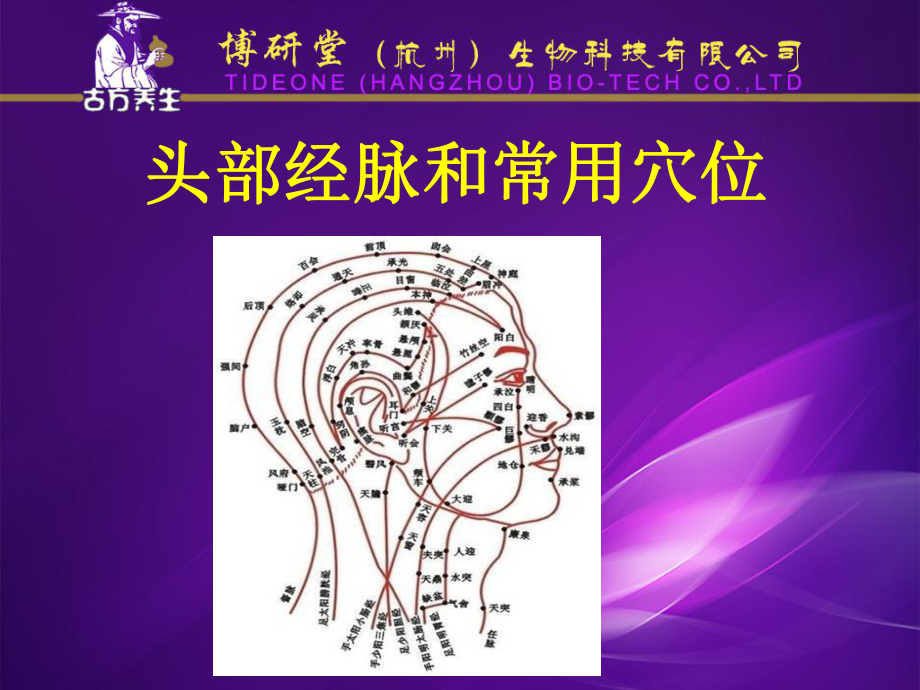 頭部常用穴位及經絡1