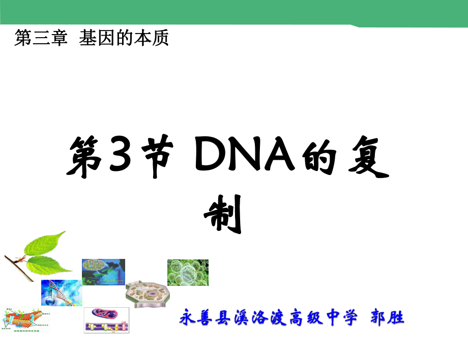 人教版高中生物必修二第三章第3節(jié)《DNA分子的復(fù)制》課件%28共21張PPT%29_第1頁(yè)