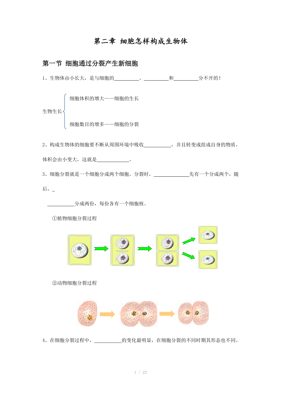 七年級生物上冊復(fù)習(xí)-細(xì)胞怎樣構(gòu)成生物體_第1頁