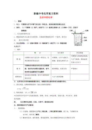 新編河北省滄州市中考化學(xué)第二輪知識點復(fù)習(xí) 生活中的化學(xué)