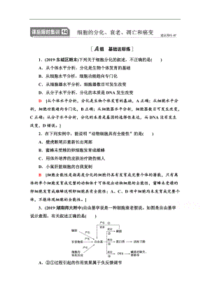 2021高三生物人教版一輪課后限時(shí)集訓(xùn)：14 細(xì)胞的分化、衰老、凋亡和癌變 Word版含解析