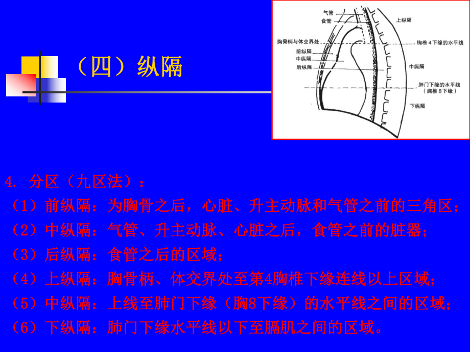 纵隔9分法分区图片