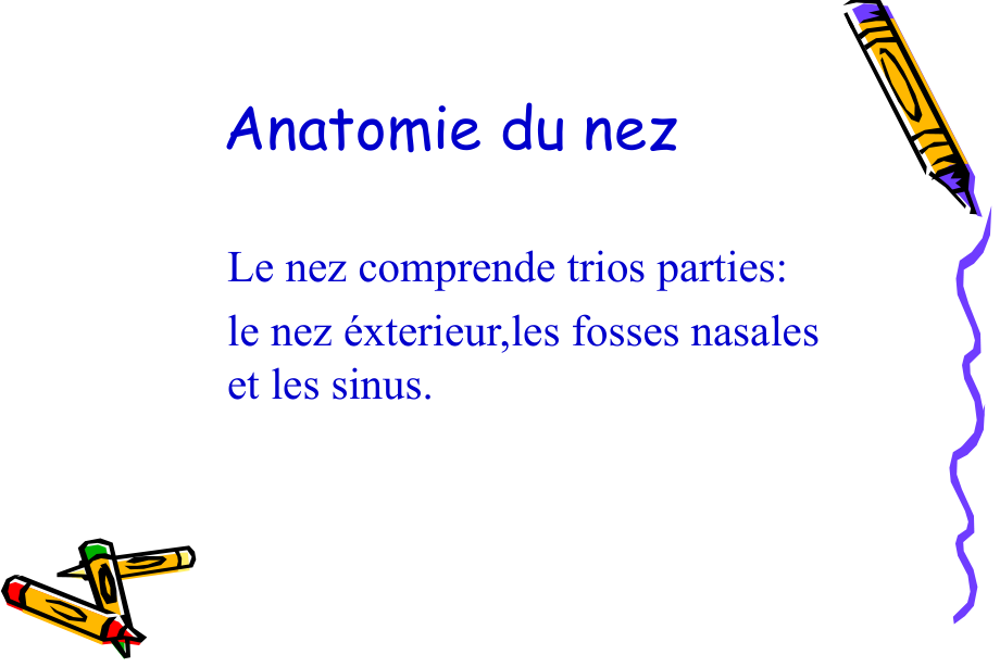 耳鼻喉科学法语课件：Anatomie du nez_第1页