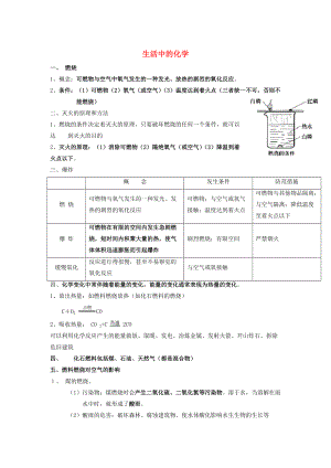 河北省滄州市中考化學(xué)第二輪知識點(diǎn)復(fù)習(xí) 生活中的化學(xué)