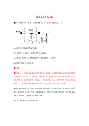 廣東省深圳市中考化學(xué)試題分類匯編 碳及其化合物