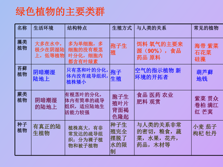 公园常见植物及类群图片