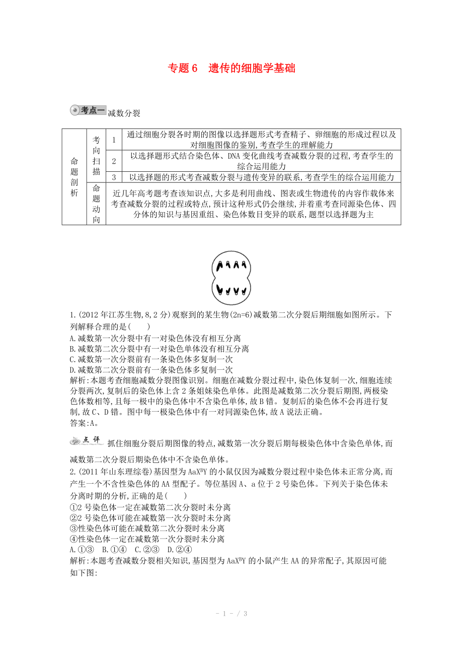 2014屆高三生物一輪復(fù)習(xí) 配套試題匯編 專題6 遺傳的細(xì)胞學(xué)基礎(chǔ)_第1頁