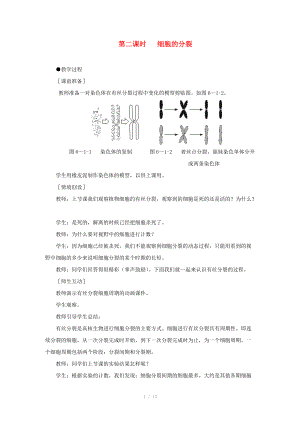 2014屆高一生物 細(xì)胞的增殖 第2課時示范教案 新人教版