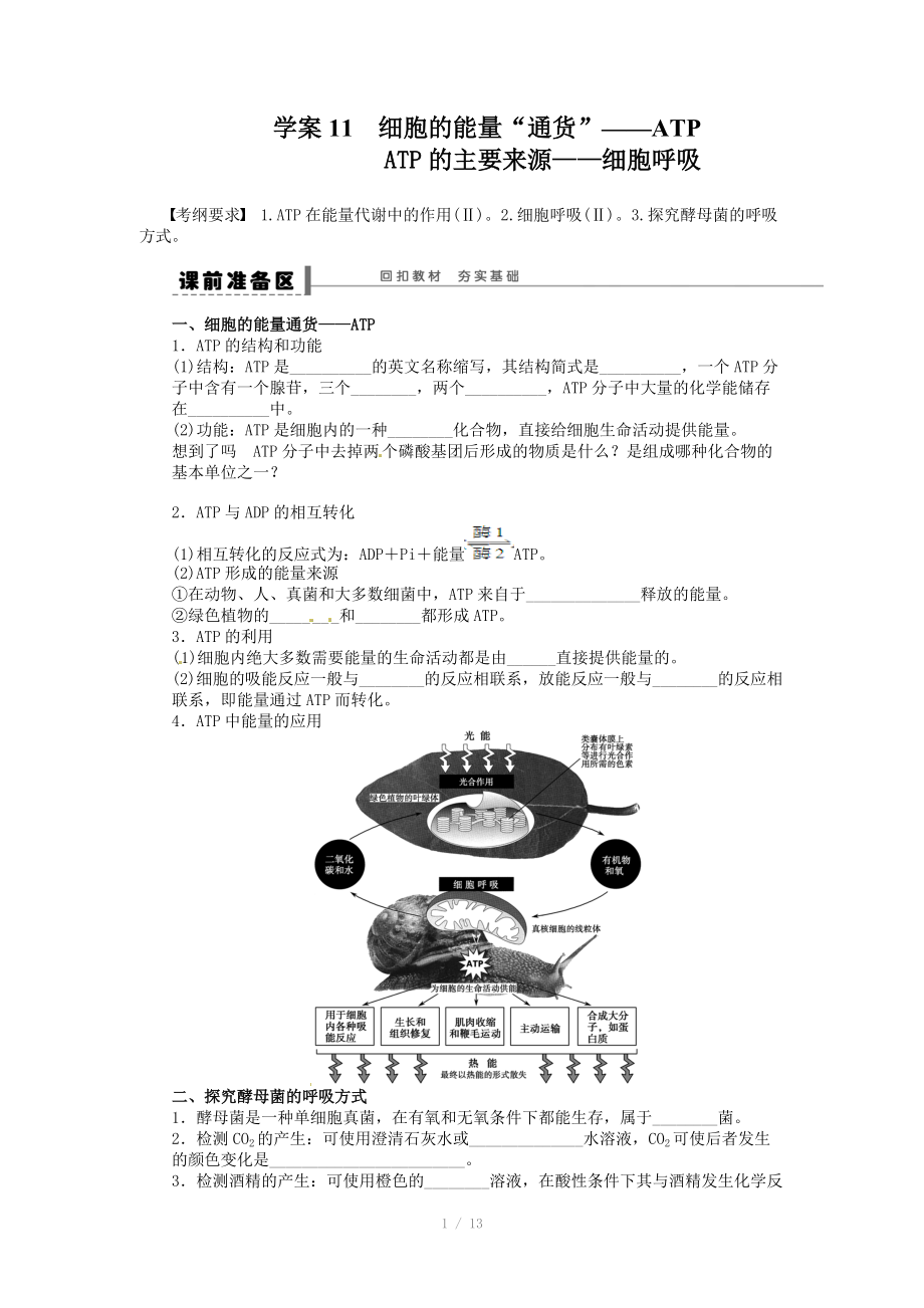 2014年《步步高》高考生物大一轮复习学案+作业第三单元 学案11 细胞的能量_第1页