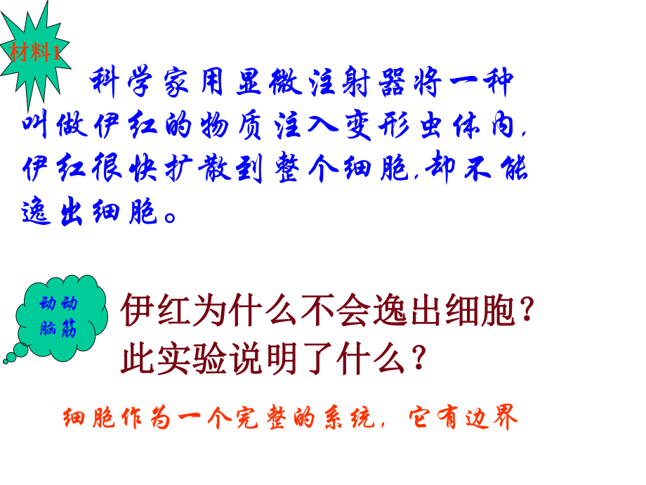 新課標(biāo)人教版必修1 第二章 第1節(jié) 細(xì)胞膜系統(tǒng)的邊界 課件_第1頁