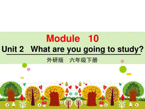 外研版六年級英語下冊Module 10 Unit 2 Whatareyou